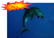 ap_fp_ran