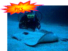 ap_nz_poor