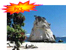 ap_nz_cor