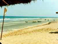 af_gambia