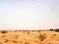 af_sa_kharj