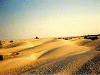 af_tu_sahara