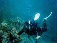 af_ty_bodrum