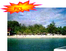 as_id_palu