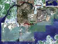 as_sg