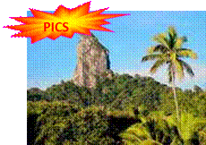 ap_ck_rara